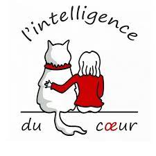 Coeurologie: Éveille l'intelligence de ton coeur